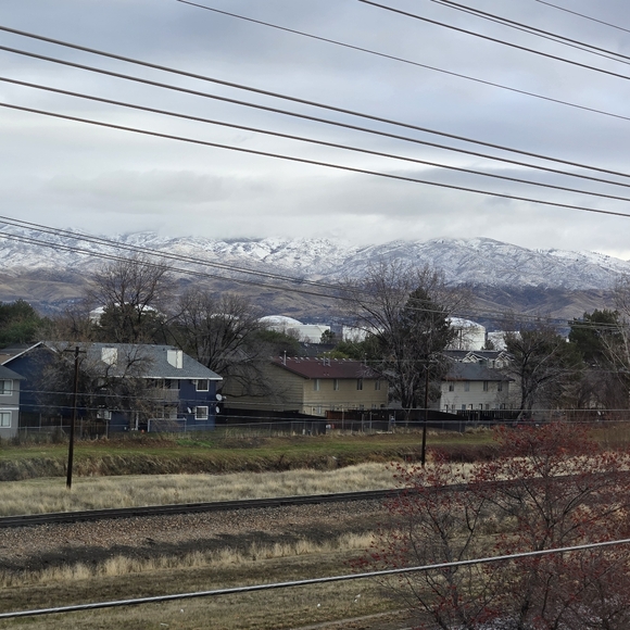 Meet your Posher, Diana - Picture 5 of 8